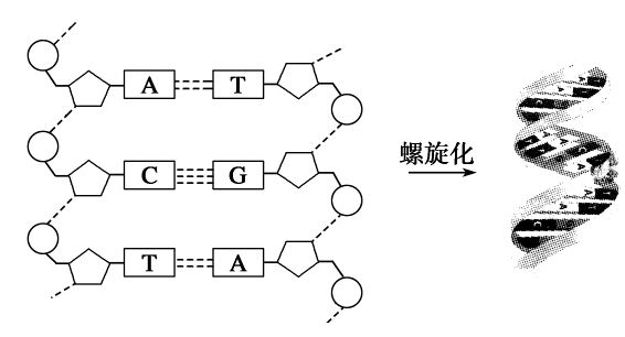 ѧȡ165ǰDNA