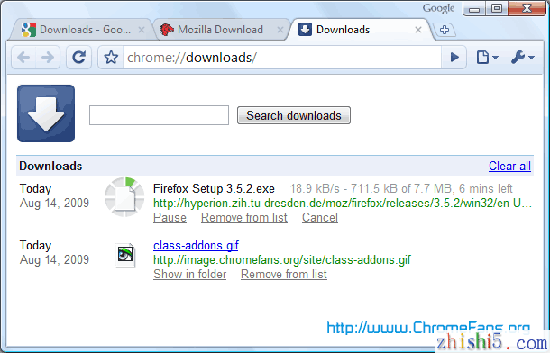 Screenshot: Chrome Download Page
